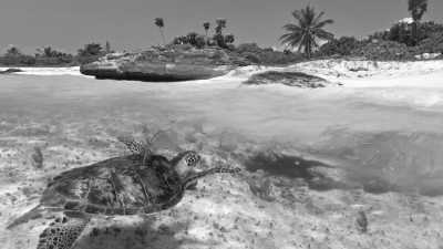 Mexiko - Playa del Carmen - Adrenaline + Beach + Coworking trip to Playa del Carmen, Mexico 🪂🌊🐱‍💻