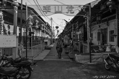 Malaysia - George Town - Malaysian City Lights 🌆 to Jungle Heights 🌴: Kuala Lumpur, Malacca, Penang & Sabah - 4