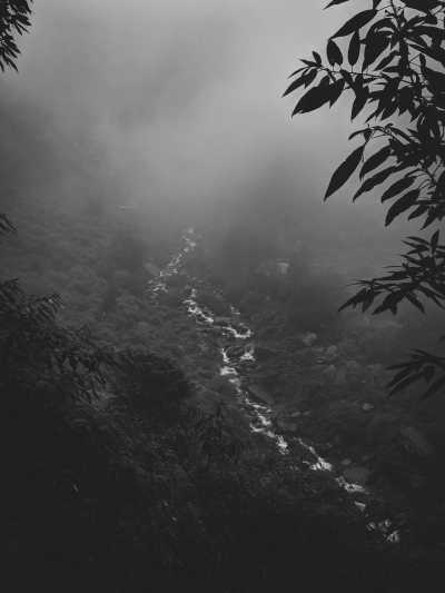 India - McLeod Ganj - Himalayan Odyssey: Discovering the Beauty of Himachal Pradesh in India - 1