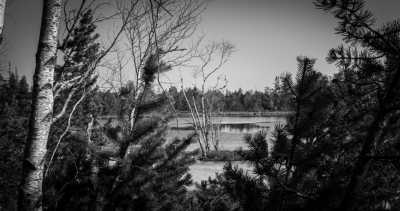 Deutschland - Wildseemoor - Step into the Flow | Hohenzollern Castle | Sankenbach Lake & Falls | Black Forest | 3 days - 4