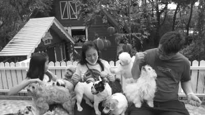 Indonesia - Lembang - Bandung: A Short Trip for Nature and Animal Lovers in Indonesia - 3