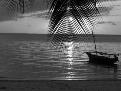Eastern Africa - Zanzibar Island - 🌍 KENYA & ZANZIBAR through Safari and Paradise beaches - 2