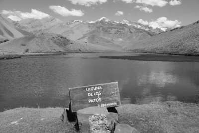 Südamerika - Laguna De Los Patos - Andenüberquerung von Chile nach Argentinien - 1