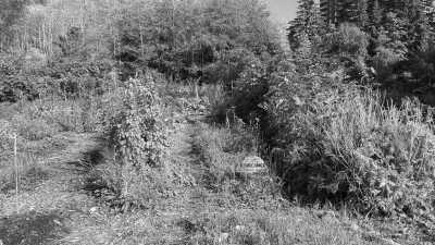 Canada - UBC Farm - Indigenous Learning in Western Canada - 6