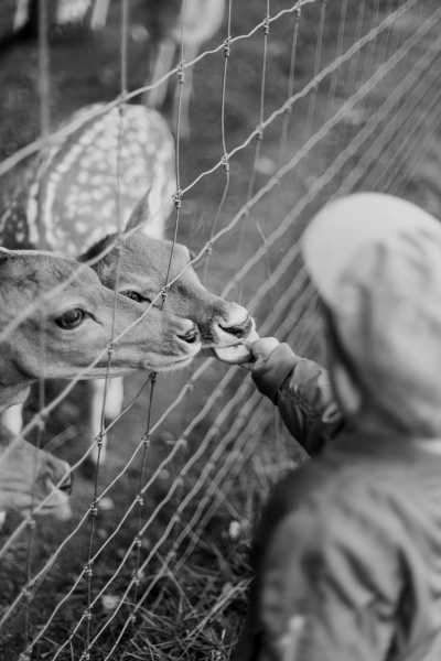 India - Palolem Beach - Unveiling the Magic of Goa, India: A 6-Day Journey in July 2023 - 4