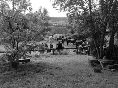 Argentina - El Hoyo - Majestic Horse Riding Adventure,"Eye To Eye with the Condor" - 2