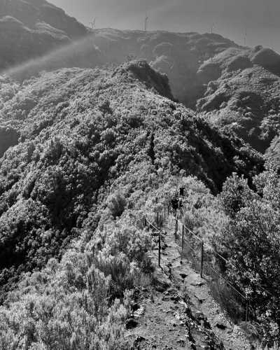 Portugal - Madeira Islands - SOLD OUT SILVESTER Madeira: Mit einer entspannten WG + CoLiving (25-39) und Guiness-Rekordfeuerwerk ins Jahr 2023 - 2