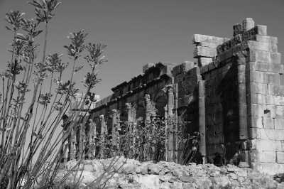 Morocco - Site Archéologique de Volubilis - Ultimate Morocco Road Trip 🇲🇦🚗 Entire Country, Sahara Desert, Blue City & Atlas Mountains in 14 Days