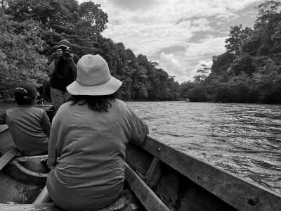 Indonesia - Tangkahan The Hidden Paradise - Sumatra Serenity: Exploring Nature's Treasures in North Sumatra, Indonesia - 4