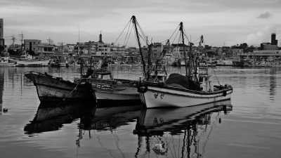 Korea, South - Gangneung-si - 🇰🇷 Entdecke Südkorea in 10d mit dem Zug - Backpacking Trip inkl. 🇰🇵 DMZ, Strandtage, Höhlenbesichtigung, Natur und Streetfood 🌿🏖️🪨🏯 - 3