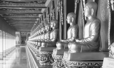 Thailand - วัดบางโทง - Rare‼️ Epic Thailand 15-Days Explorer😍🔥: Helicopter Tour✈️, Zip Line Fun, Elephant Adventures and many more! ❣️🎉 - 3