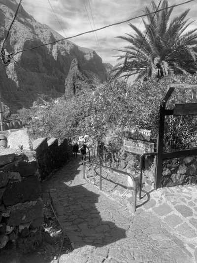 Spain - Santa Cruz de Tenerife - Carnaval & More 🥁🌴  Let's enjoy Tenerife's nature, mountains and beaches during the day, and party at the biggest Carnaval of Europe on various evenings 💃🏽 - 4