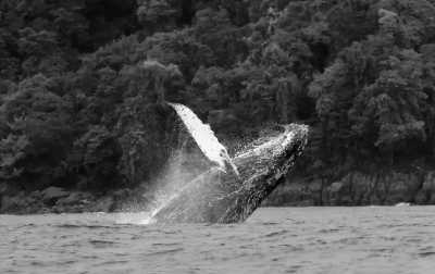 Colombia - Bahía Solano - Experience The Best Of Colombia - 5