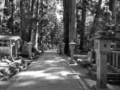 Japan - Koyasan - Spring in Japan:  2 wks Adventure for Cherry Blossom Seekers - 1