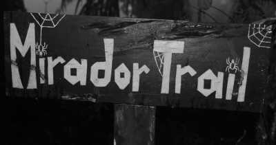 Costa Rica - La Gamba centro - Coworking or Volunteering from/in Costa Rica - 20