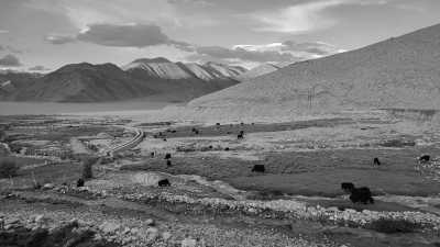 Indien - Pangong Tso - Mystical Ladakh - A Yoga and Meditation Retreat Exploring India's Himalayas - 3