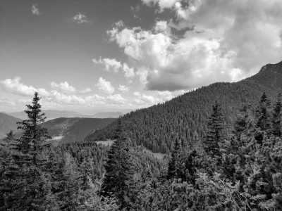 Eastern Europe - Terchová - Feel your heart beating and relax your mind; mountain hiking, horsback riding in Czechia, Slovakia and Poland - 5