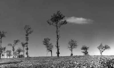 Indien - Chikkamagaluru - Wildlife & Heritage Special Trip : Karnataka, India - 3