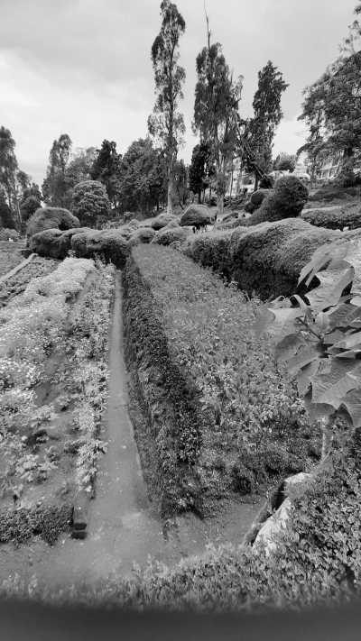 India - Kodaikanal - Ancient South India: Experience the Exotic Ancient Temples and Enticing Hills of Tamilnadu - 22