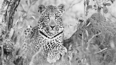Subsahara-Afrika - Victoria Falls & Botswana Parks - JoinMyTrip