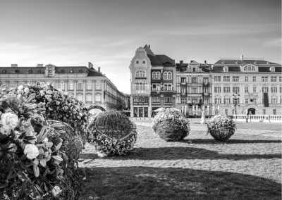 Romania - Timișoara - Connect Your Soul in this Romania