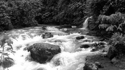 Ecuador - Mindo Valley - The Wildest Ecuador - A life changing adventure supporting indigenous communities