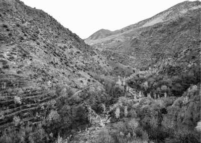 Morocco - Tizi Oussem - The ultimate Morocco Adventure: Trekking, Yoga, and Surfing Plus Marrakech City Trip - 1