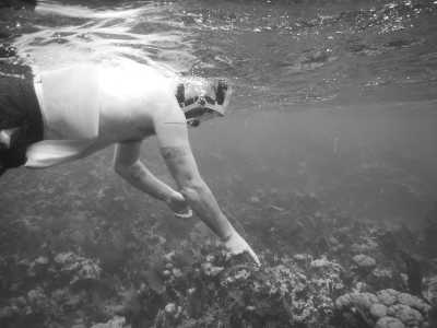 Belize - Barrier Reef - Experience Belize Like a Local: Authentic Travel Adventures Await - 2