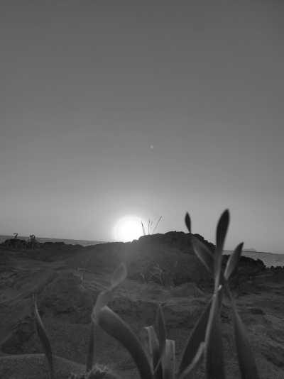 Greece - Chania - Chania, Greece: Uncover the Best Beaches 🌊🏖️ and Travel Like a Local - 7