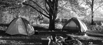 South Africa - Durban - Trip to Khotso, South Africa-Enjoy Horse Trails, Adventure and Wildlife ☀️🏇😊 - 15