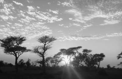 Senegal - Dakar - Explore the Gateway to Africa - Senegal!