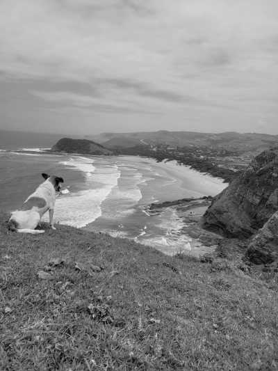 South Africa - Mdumbi Backpackers - South Africa Roadtrip with a Local: Untouched beaches 🌞, Mountains, Wilderness, Campfires & Adventure 🤙 Epic Roadtrip through an epic Country🚙 - 14