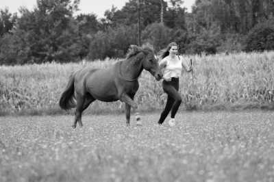 Romania - Sibiel - Wanderritt Transsilvanien, Rumänien - 2