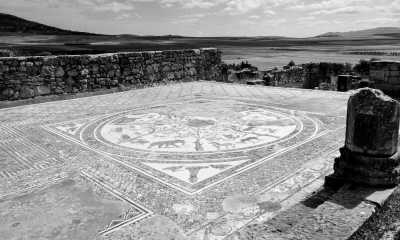 Marokko - Conservation du site Archéologique de volubilis - Discover the Hidden Gems of Fez: A Journey Through Morocco's Cultural Capital - 6