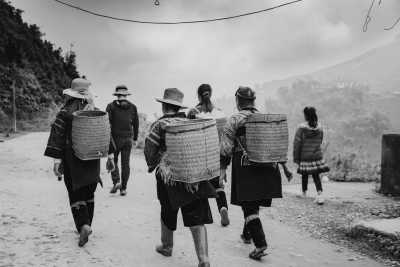 Vietnam - Sa Pa - Northern Vietam Unveiled: Nature, Hikes & Local Encounters - A 5-Day Journey for Nature Lovers and Cultural Explorers