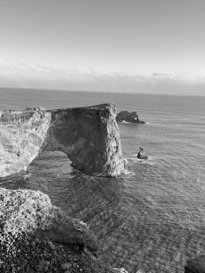 Iceland - Dyrhólaey - 8 days Winter Fairytale in Iceland with Ice cave and Blue lagoon - 2