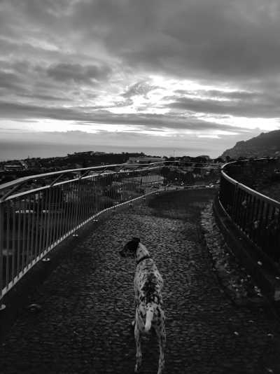 Portugal - Funchal - Madeira Surf Guided trip - 2