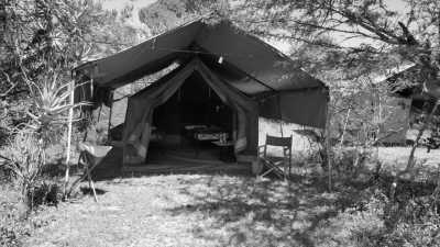 Kenya - Masai Mara National Reserve - Exploring an Epic Safari Nature Reserve: Maasai Mara National Reserve, Kenya - 5