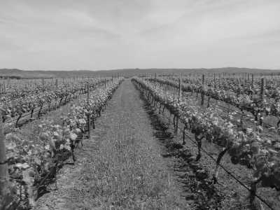 Southern Europe - Reguengos de Monsaraz - Lisbon to Seville: 6-Day South Iberian Adventure with a Local - Wine Tasting, Moorish Marvels and More! - 4