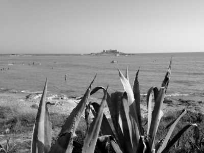 Italien - Noto - Sicily: Join me for a Week of Culinary Delights from Ice Cream to Sicilian Pizza! 🇮🇹 - 3