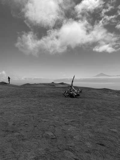 Spain - Valle Gran Rey - Island-Hopping Canary Style: La Gomera, La Palma, Tenerife - Escape European autumn with us! ☀️ - 1