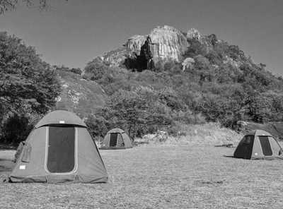 Tanzania - Public Campsite Tarangire National Park - Discover Tanzania's Amazing Wildlife: Safari Adventures - 1