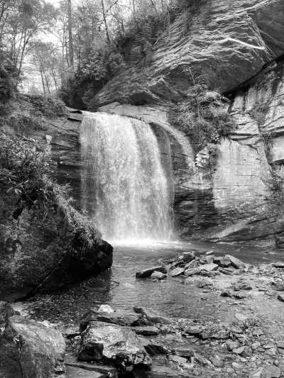 United States - Graveyard Fields Loop Trail - USA Road Trip - Spring Rhododendrons in Blue Ridge parkway and Great Smoky Mountains, tunnels and waterfalls! - 2