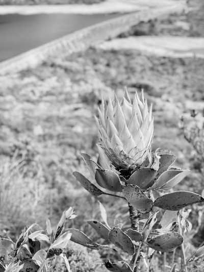 Südafrika - Tafelberg - Kitesurf Women Camp Cape Town, South Africa! - 4