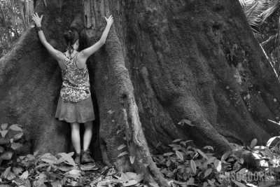 Brazil - Resex Tapajós arapiuns - Amazon Expedition: 14-day Immersion in Nature and the Riverside Communities of the Amazon. - 8