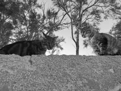 Griechenland - Kyra Panagia - Segeltörn durch die nördliche Ägäis, Griechenland - Baden, gutes Essen und mehr! - 2