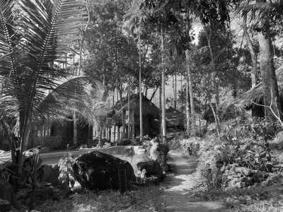 Vietnam - Phú Lương - Northern Vietnam: Adventure & Meditation in Nature - 6