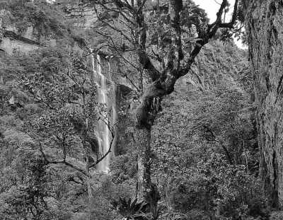 Kolumbien - San Francisco - Experience Glamping, Hiking, Horse Riding, and Cultural Delights: Discover San Francisco-Cundinamarca and Bogotá, Colombia - 10