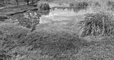 Northern Europe - Nationalpark Ķemeri - Riga and Vilnius kennenlernen - Kultur, Natur und Mehr! - 5