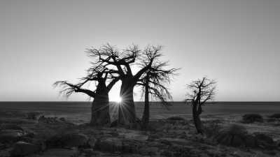 Sub-Saharan Africa - Ghanzi - All-Inclusive - The Best of Africa 10 days Safari